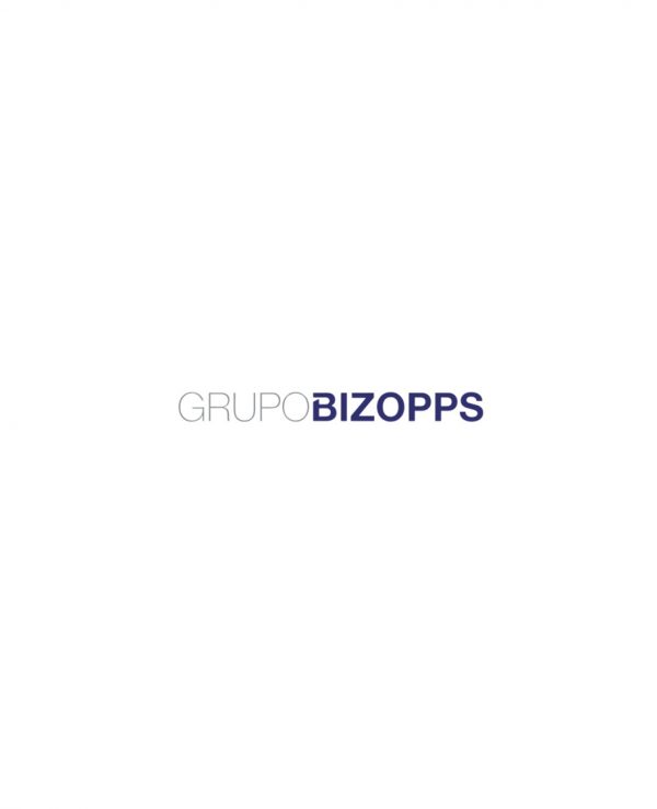 GRUPO BIZOPPS