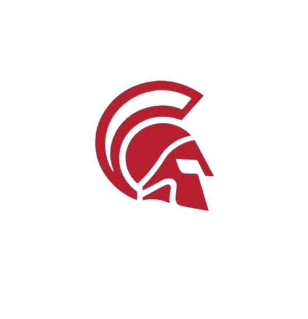 SPARTAN CONSULTING