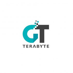 GT TERABYTE