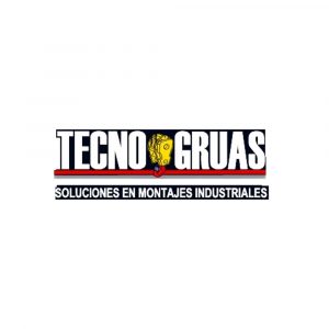 TECNOGRUAS Y MONTAJES
