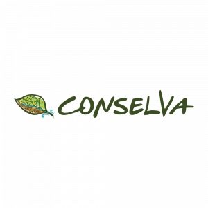 Conselva Soluciones