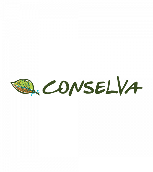 Conselva Soluciones
