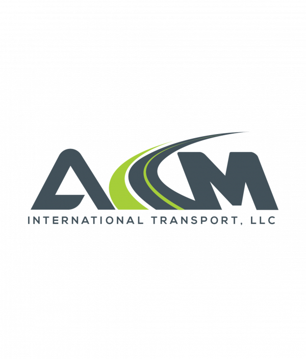 TESÓN LOG ASESOR LOGISTICO